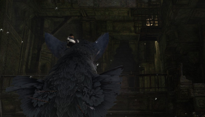 к игре Last Guardian, The
