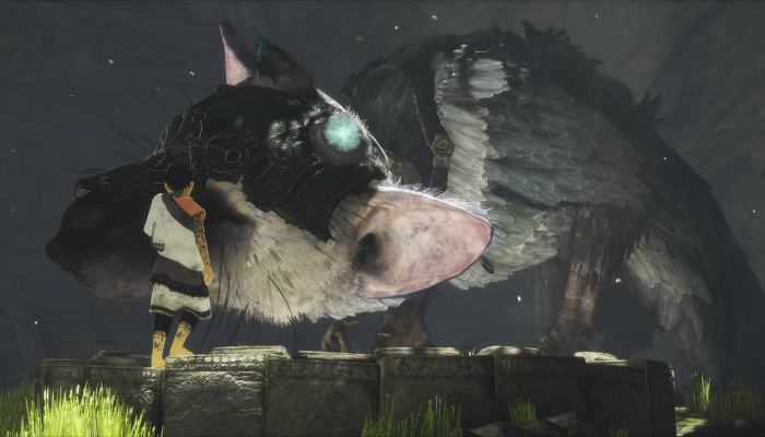 к игре Last Guardian, The