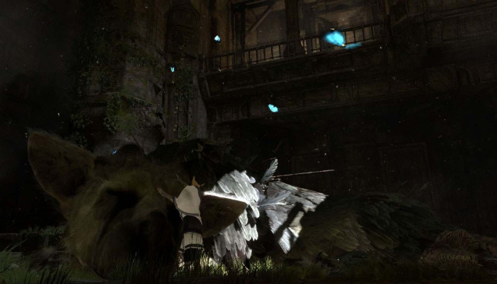 к игре Last Guardian, The