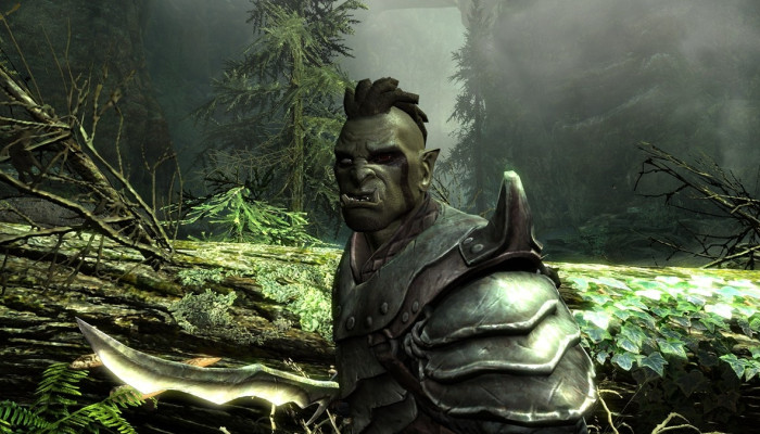 к игре Elder Scrolls V: Skyrim, The