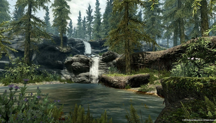 к игре Elder Scrolls V: Skyrim, The