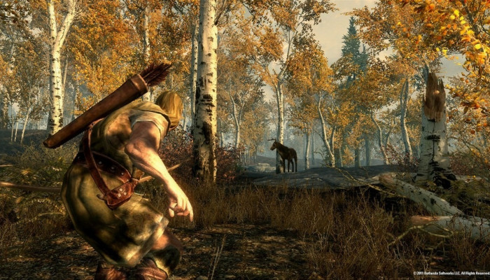к игре Elder Scrolls V: Skyrim, The