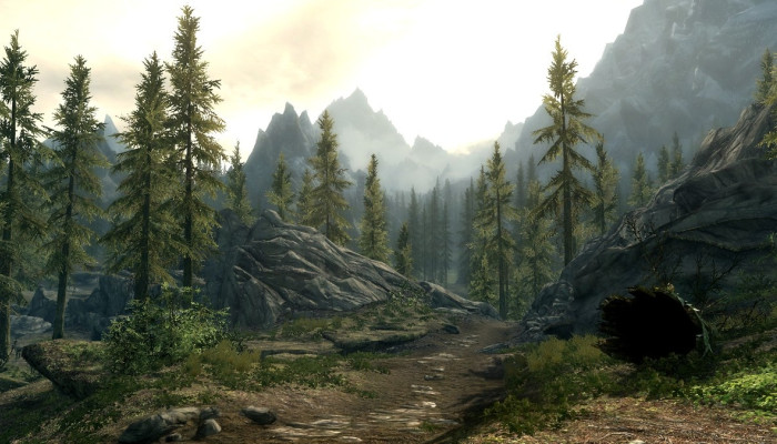к игре Elder Scrolls V: Skyrim, The