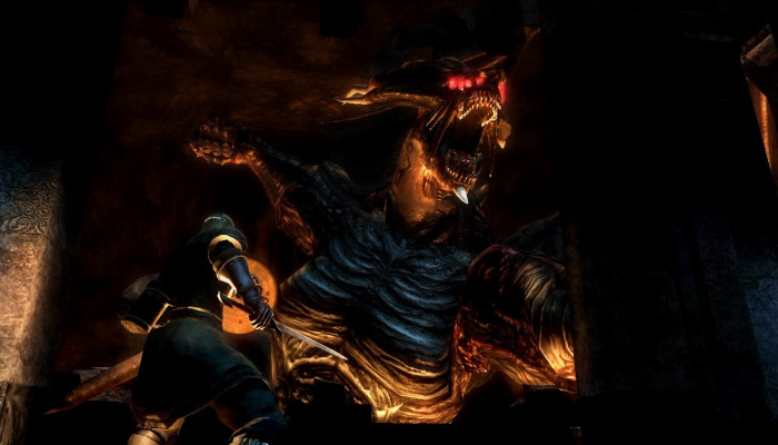 к игре Demon's Souls