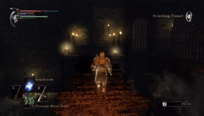 к игре Demon's Souls