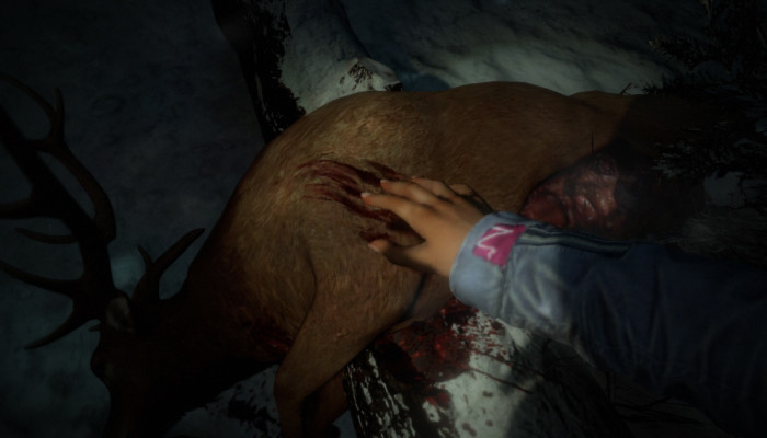 к игре Until Dawn