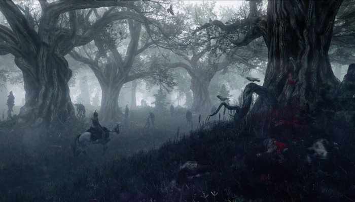 к игре Witcher 3: Wild Hunt, The