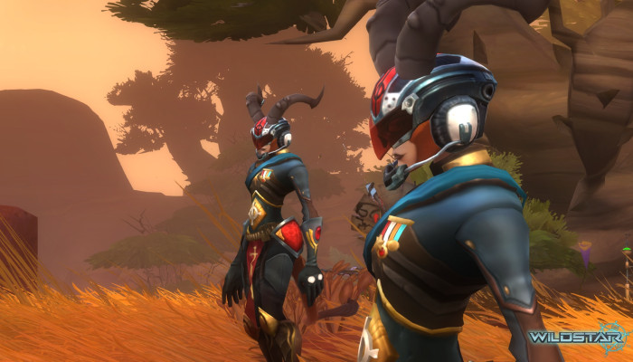 к игре WildStar
