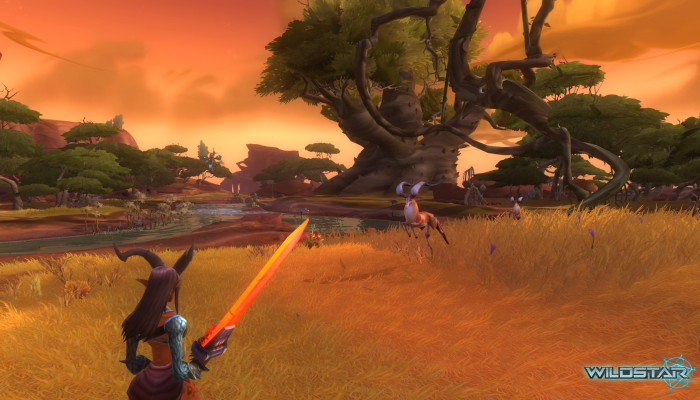 к игре WildStar