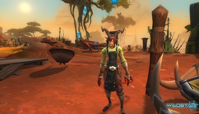 к игре WildStar