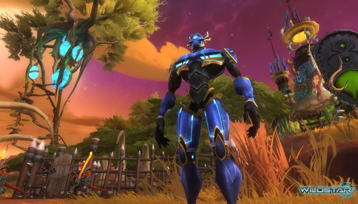 к игре WildStar