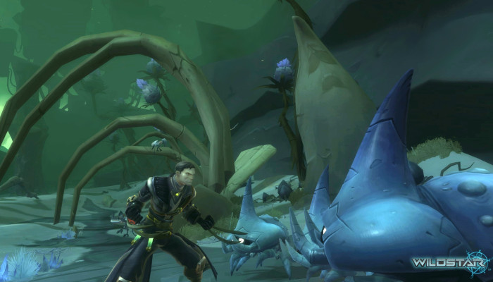 к игре WildStar