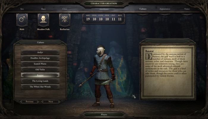 к игре Pillars of Eternity