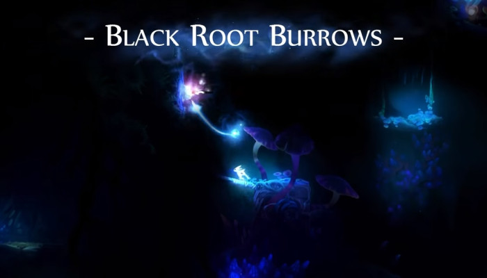к игре Ori and The Blind Forest: Definitive Edition