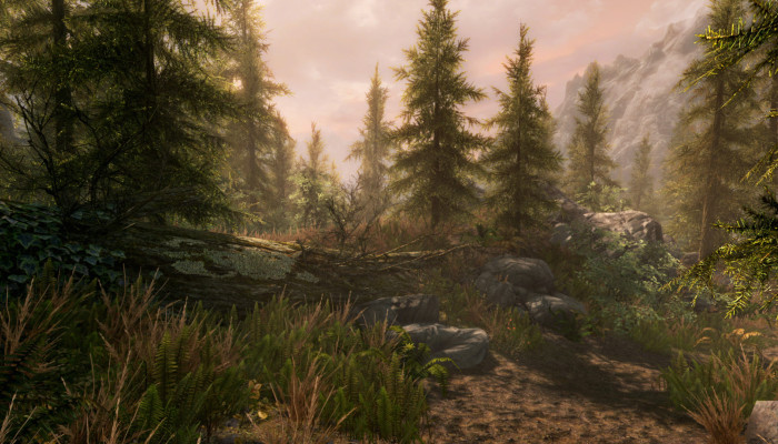 к игре Elder Scrolls V: Skyrim Special Edition, The