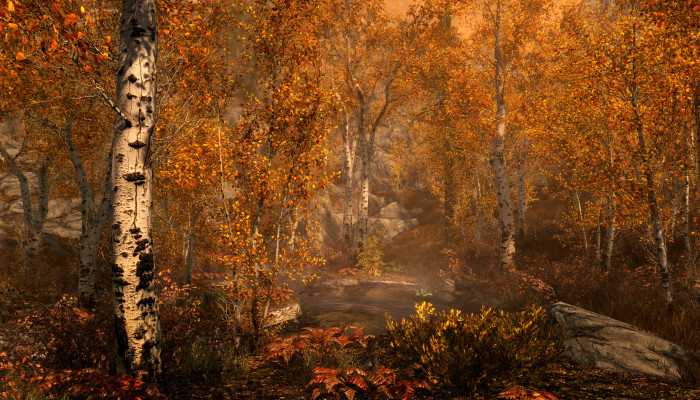 к игре Elder Scrolls V: Skyrim Special Edition, The