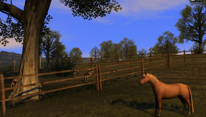 к игре Agricultural Simulator 2011