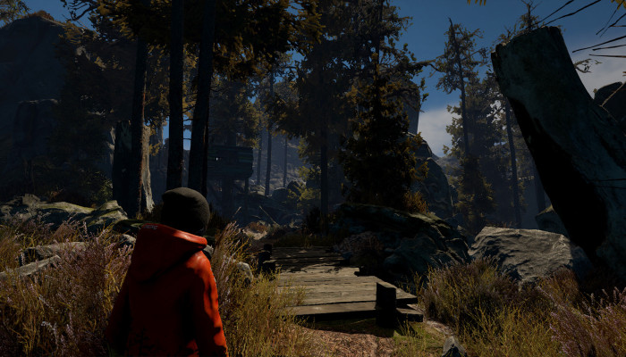 к игре Through the Woods