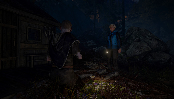 к игре Through the Woods