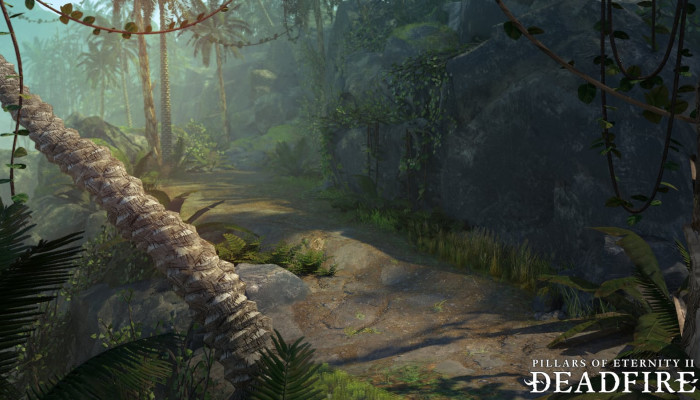 к игре Pillars of Eternity 2: Deadfire