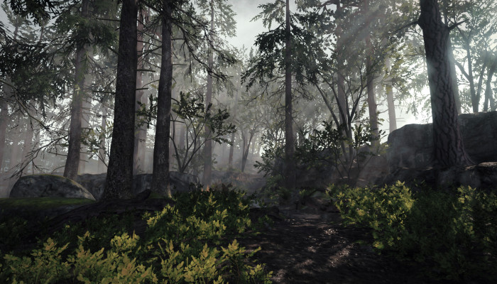 к игре Warhammer: Vermintide 2