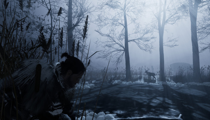 к игре Fade to Silence
