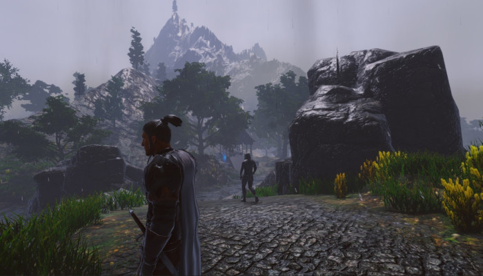 к игре Legends of Ellaria
