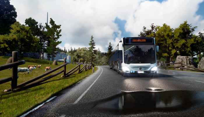 к игре Bus Simulator 18
