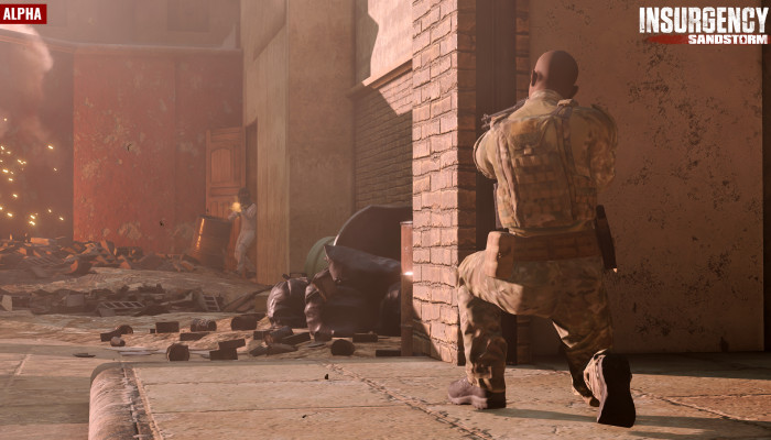 к игре Insurgency: Sandstorm