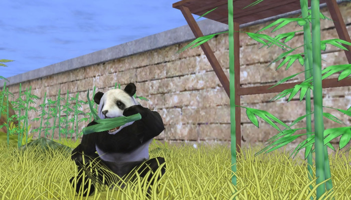 к игре Zoo Empire