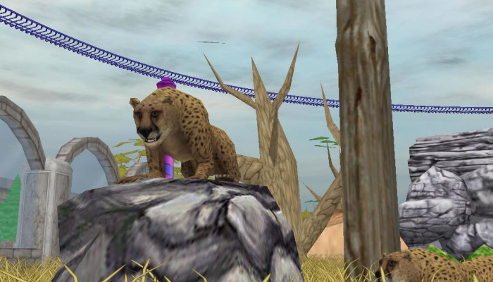 к игре Zoo Empire