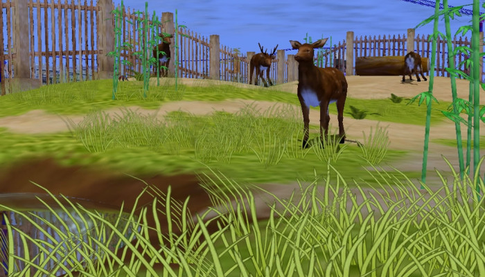 к игре Zoo Empire