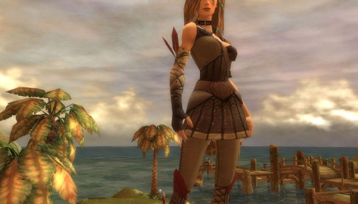 к игре Guild Wars
