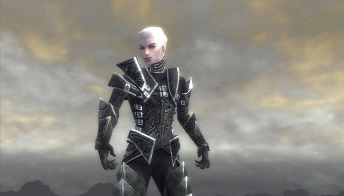 к игре Guild Wars