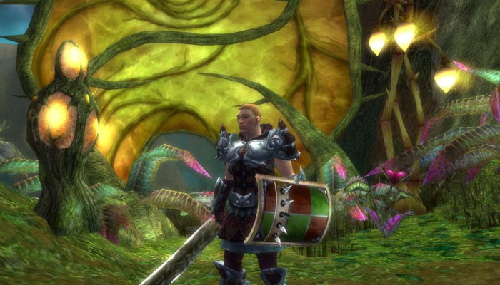 к игре Guild Wars