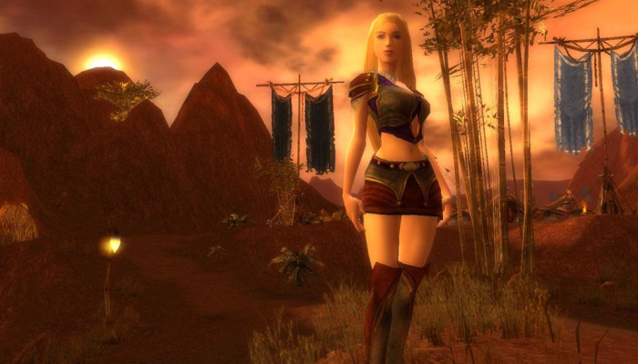 к игре Guild Wars
