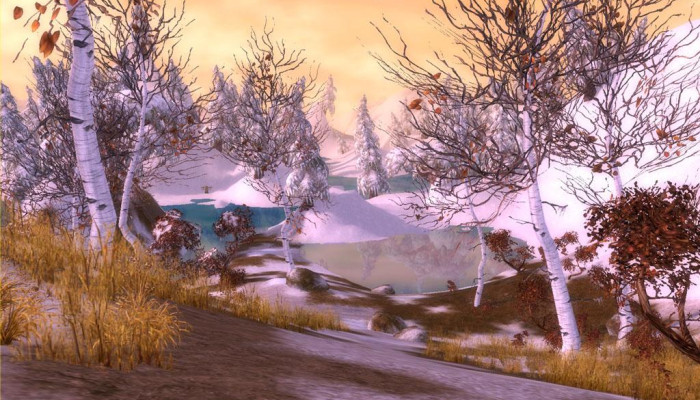 к игре Guild Wars