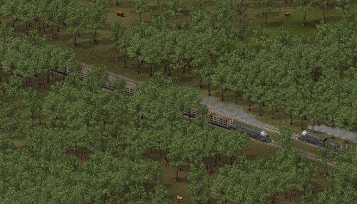 к игре Transport Giant