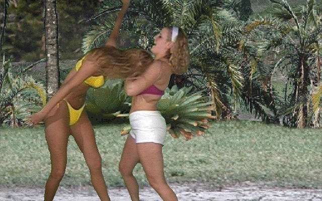 к игре Bikini Karate Babes