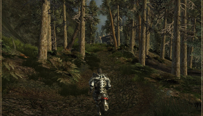 к игре Gothic 3