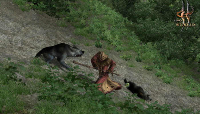 к игре Two Worlds (2007)
