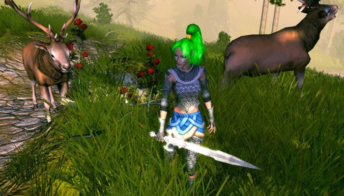 к игре Sacred 2: Fallen Angel