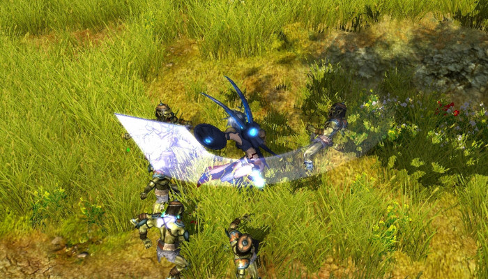 к игре Sacred 2: Fallen Angel