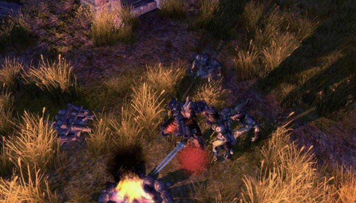 к игре Sacred 2: Fallen Angel