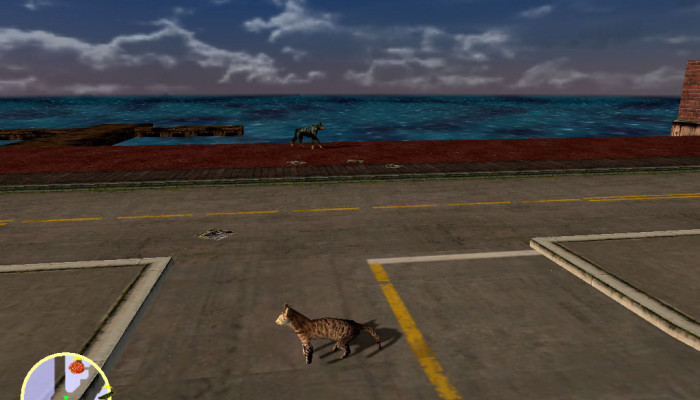 к игре Skate Madness