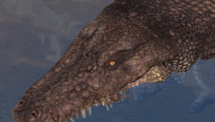 к игре EverQuest 2: Desert of Flames