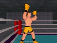 к игре Boxer's Story