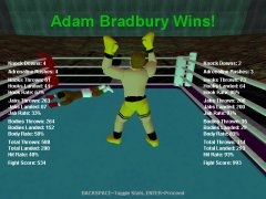 к игре Boxer's Story