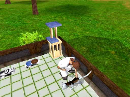 к игре Paws & Claws Pet Vet