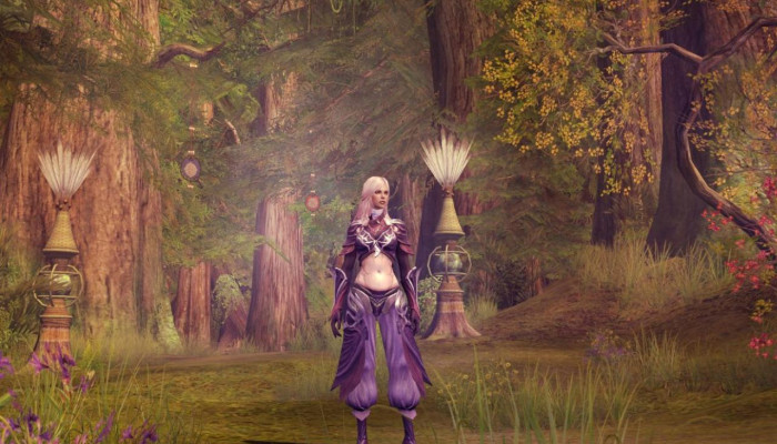 к игре Aion: The Tower of Eternity